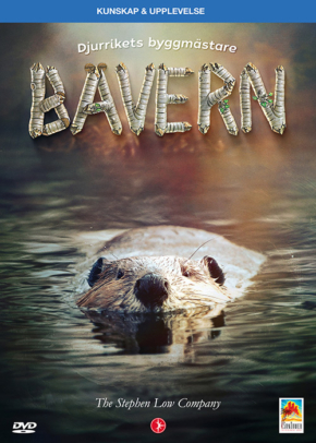 Bävern – Djurrikets byggmästare